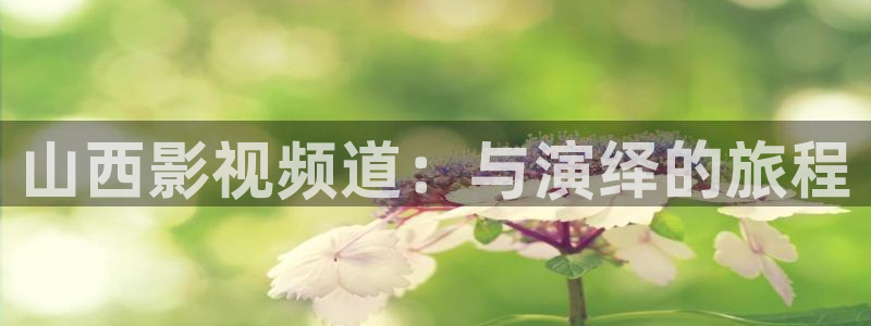 星辰影院在线观看免费播放电视剧
