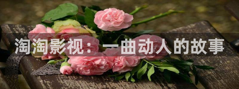 去有风的地方电视剧星辰影院