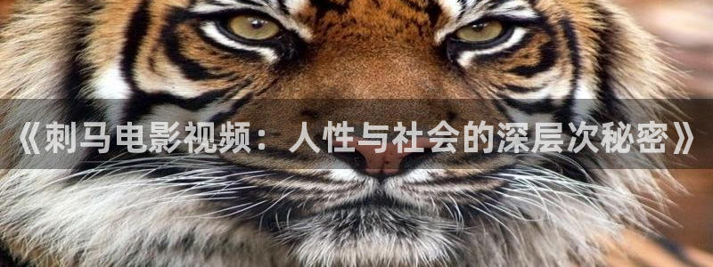 熊出没星辰影院