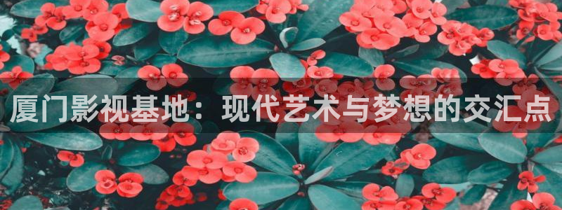 长相思二电视剧星辰影院