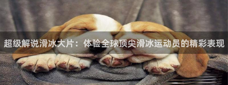 星辰影院电影电视剧全集免费