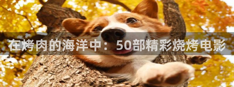 星辰影院百度网盘