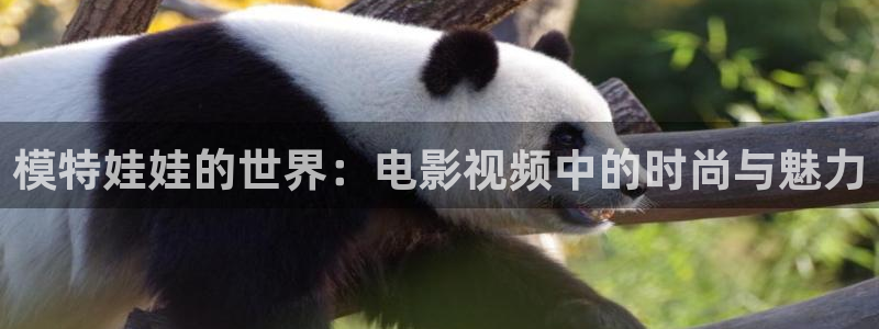 电视剧大决战星辰影视