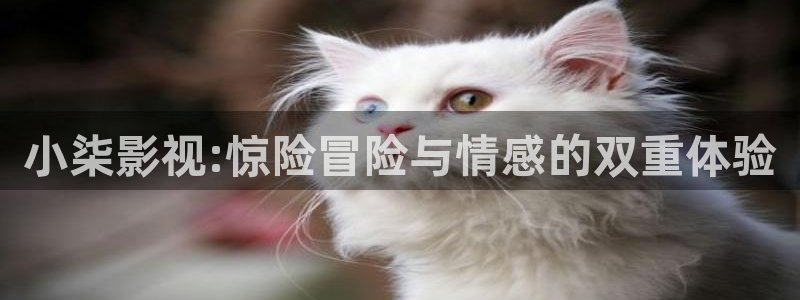 高清电影院星辰在线观看免费
