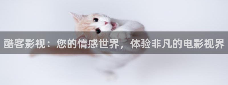 狂飙免费观看星辰影视