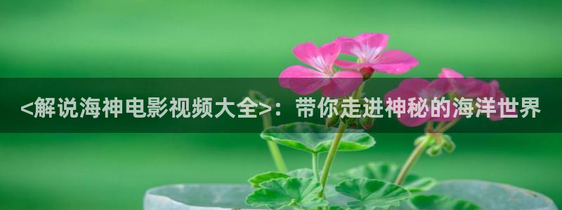 少帅电视剧在线观看全集免费星辰影院