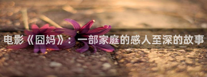 点燃我温暖你电视剧星辰影院免费观看