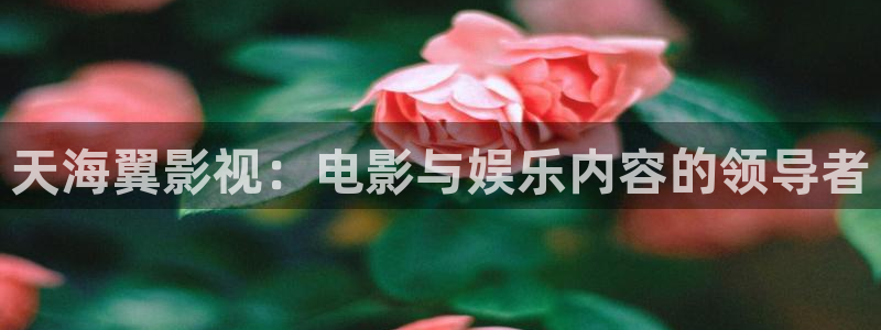 星辰影院锦衣之下