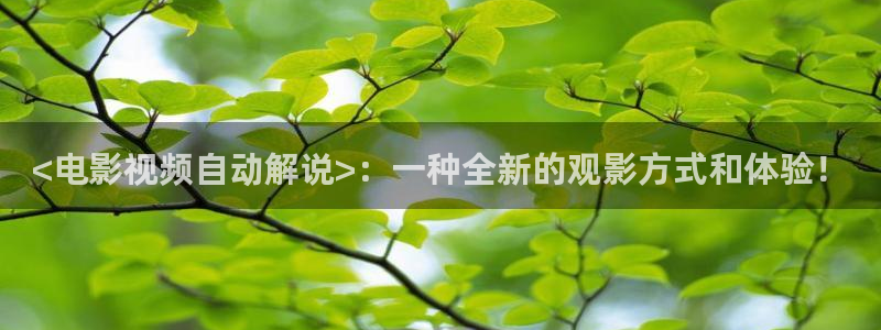 妈妈的朋友 星辰影院