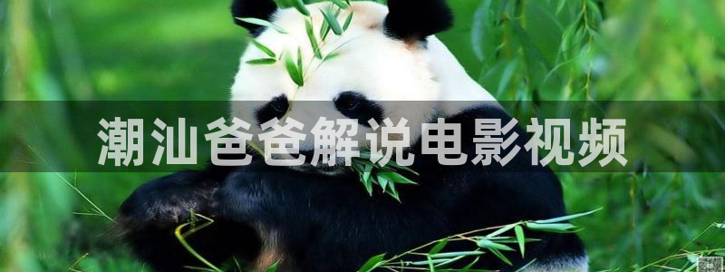 星辰影城今日影讯