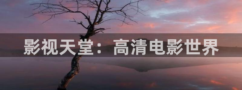 贺 先生的恋恋不忘星辰影视