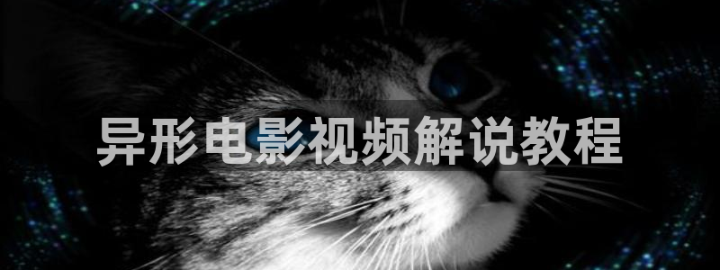 星辰影视在线播放