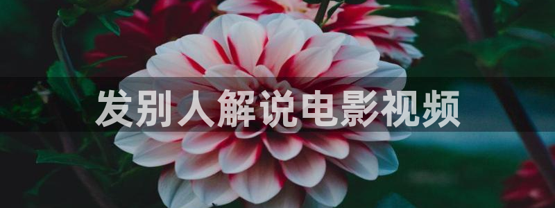 七时吉祥免费观看星辰影视