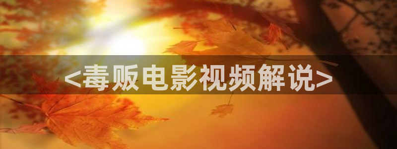 后浪电视剧40集免费播放星辰影视