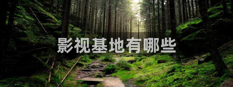 天才基本法星辰影院免费观看