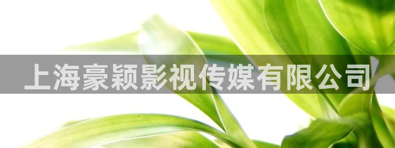 星辰影院老九门