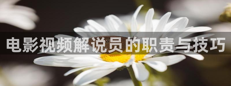 奔跑吧第十三季免费观看星辰影院