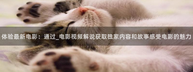 乐游原星辰影视
