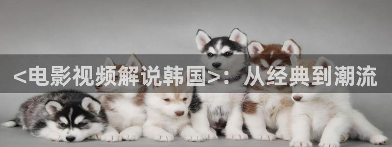 星辰合力影视公司