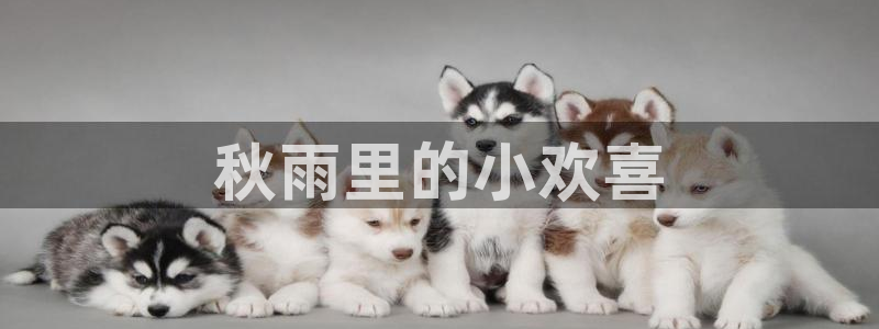 星辰影院入口