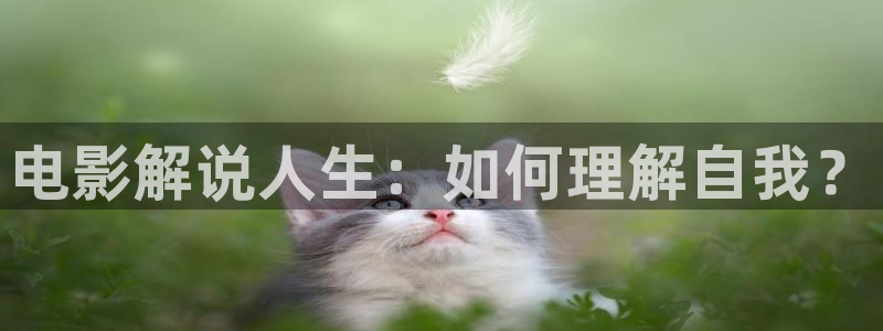 星辰影视手机版