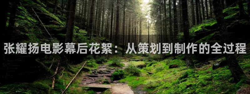 闪耀的她星辰影院