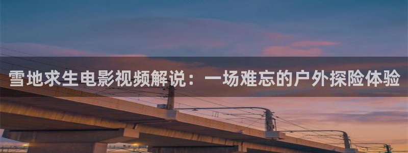 棋魂星辰影视