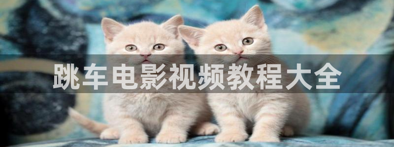 康熙王朝第50集在线观看星辰影视