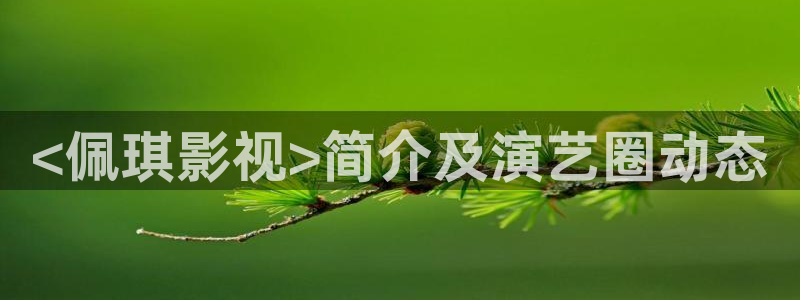 星辰影院璀璨人生在线免费观看