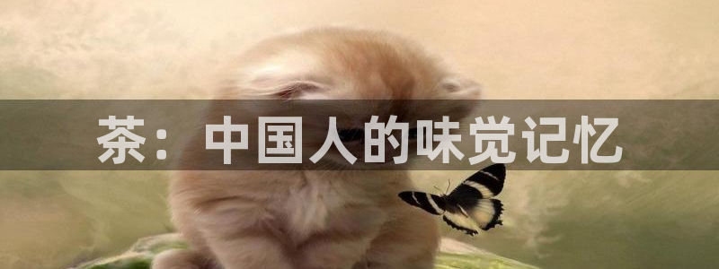三体星辰影院
