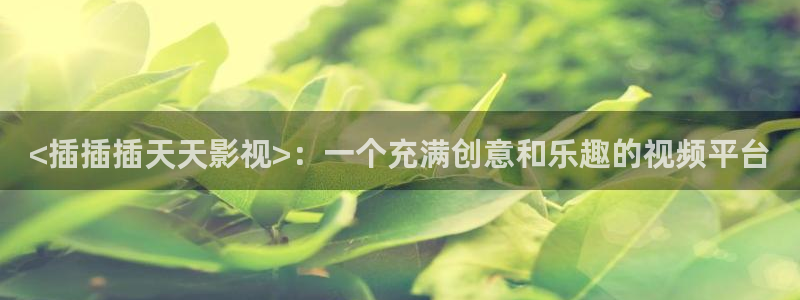 墨白电视剧免费观看在线观看星辰影院