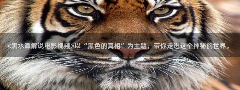 星辰影视在线观看完整版免费观看