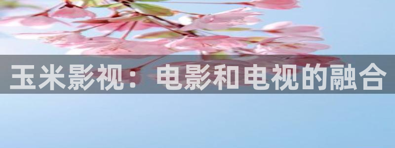 唐人街探案3星辰影视