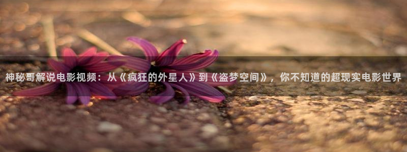 新闻图片